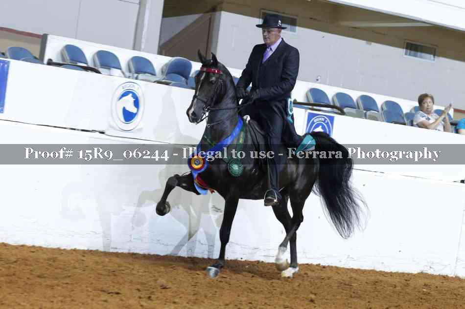 Proof 15R9_06244