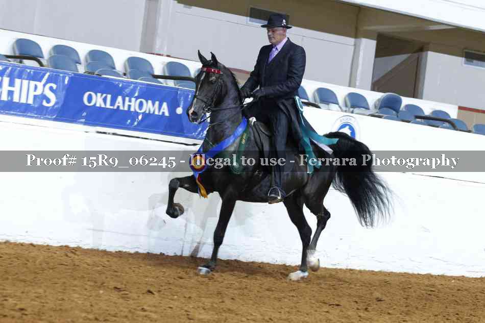 Proof 15R9_06245