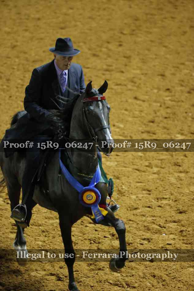Proof 15R9_06247