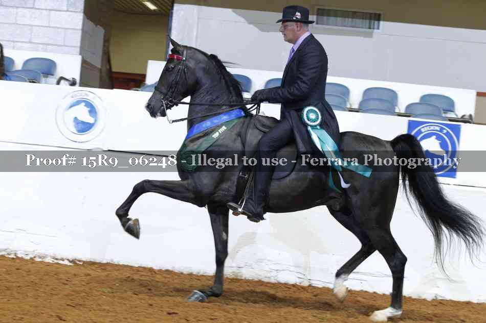Proof 15R9_06248