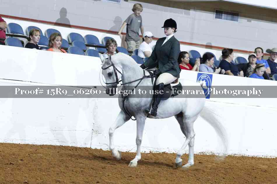 Proof 15R9_06260