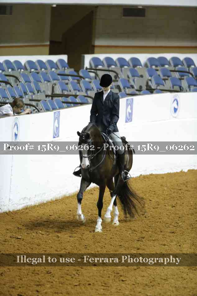 Proof 15R9_06262