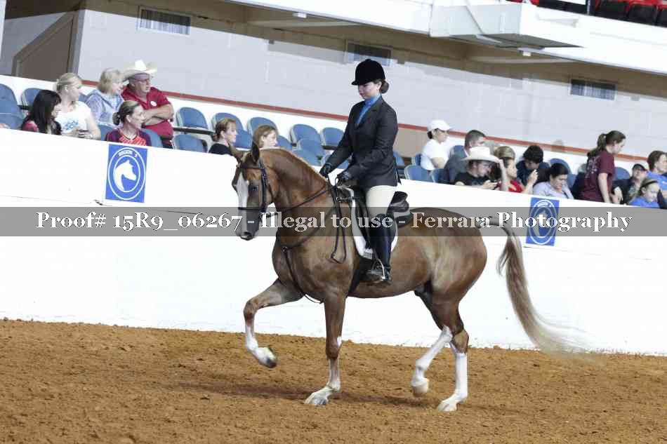Proof 15R9_06267
