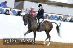 15R9_06269 proof
