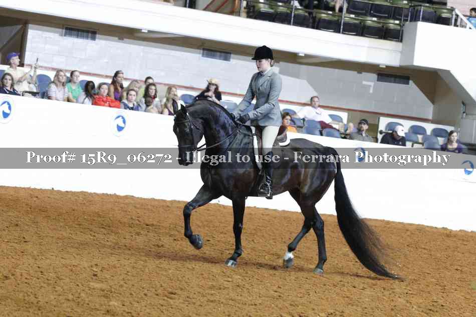Proof 15R9_06272
