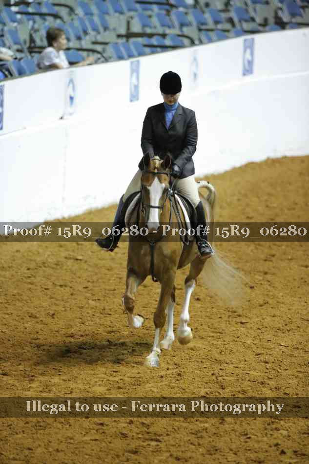 Proof 15R9_06280