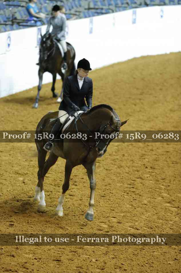 Proof 15R9_06283
