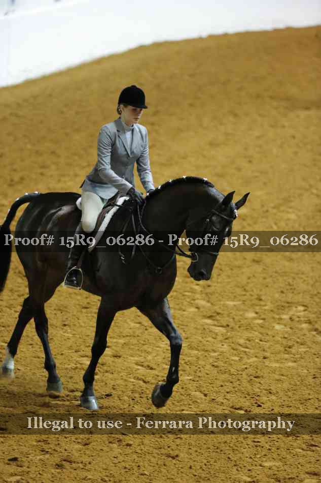 Proof 15R9_06286