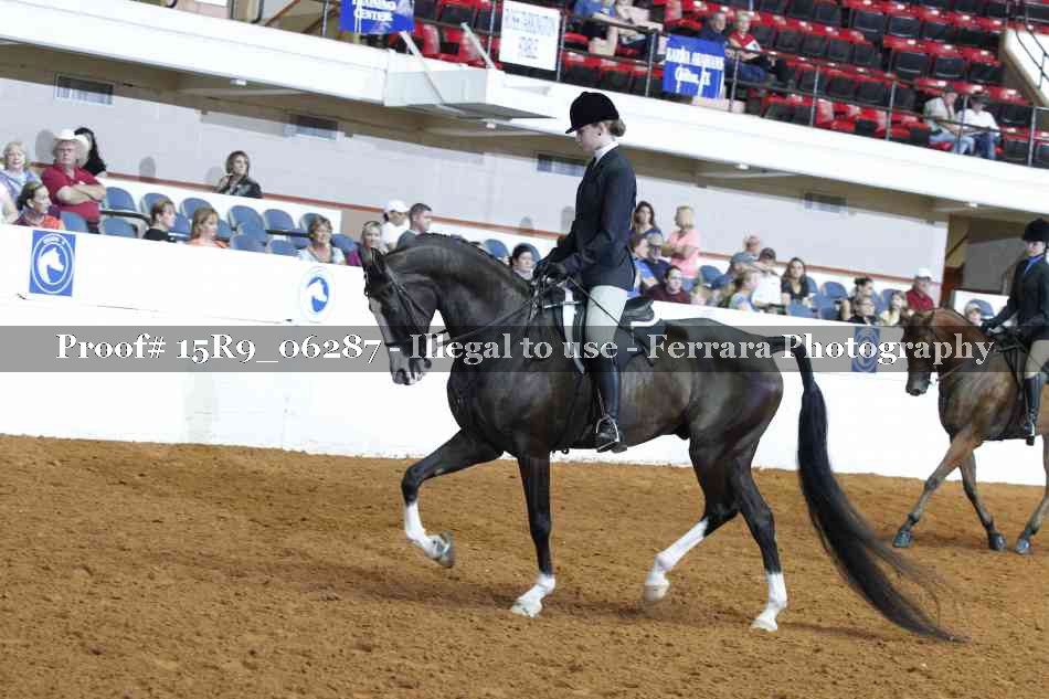 Proof 15R9_06287