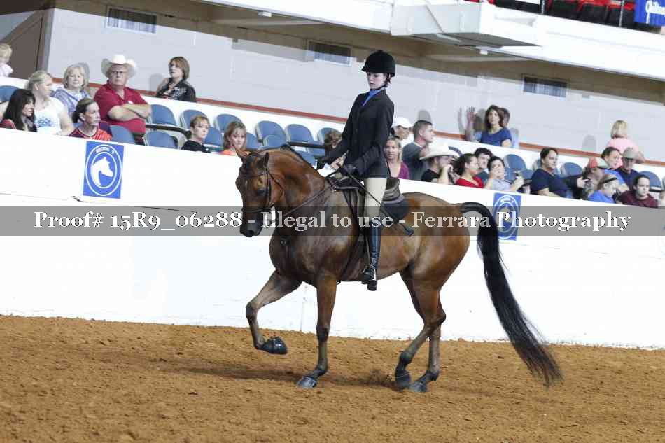 Proof 15R9_06288