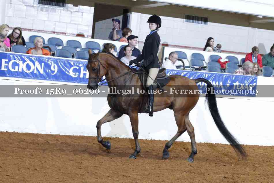 Proof 15R9_06290