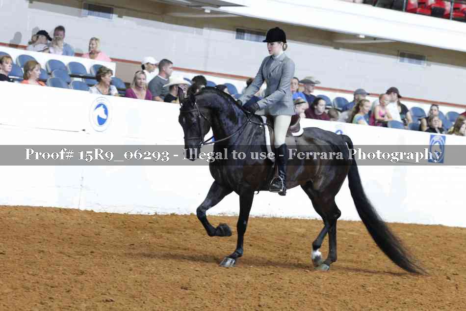 Proof 15R9_06293