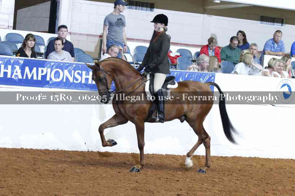 Proof 15R9_06295
