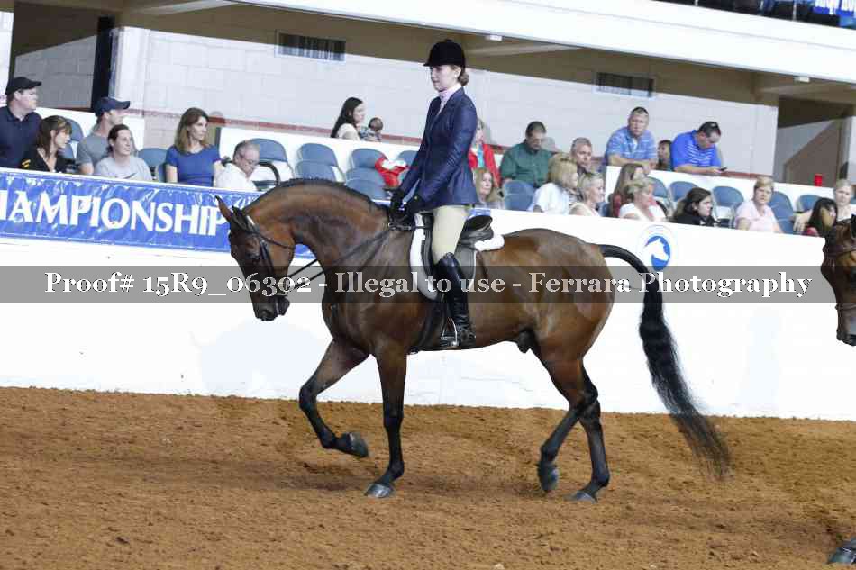 Proof 15R9_06302