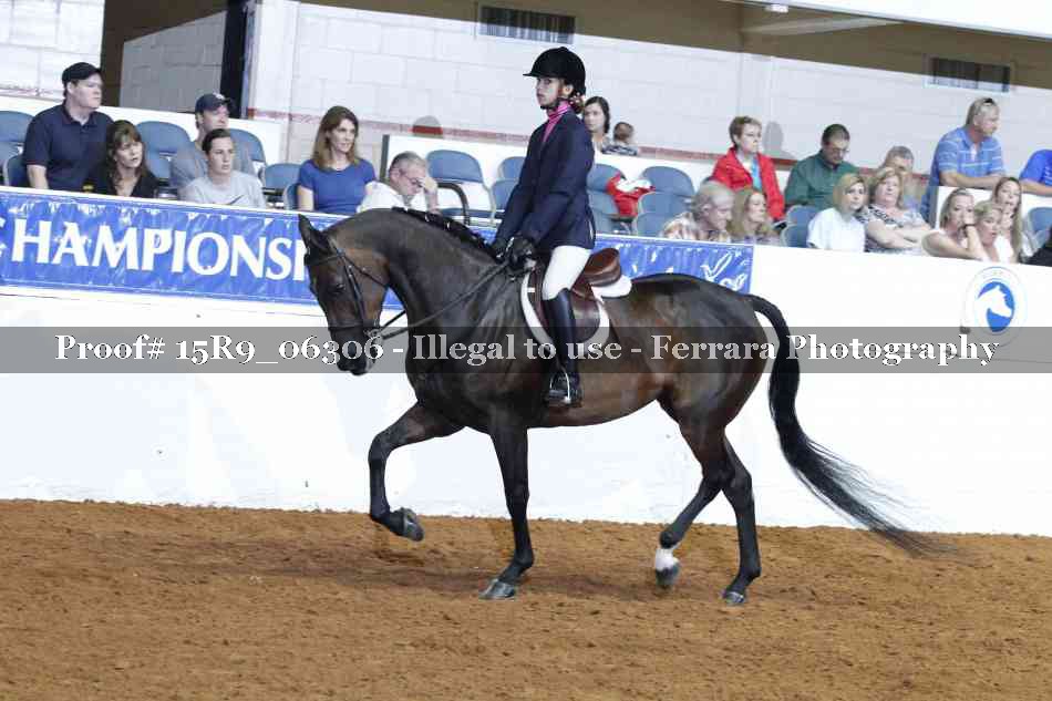 Proof 15R9_06306
