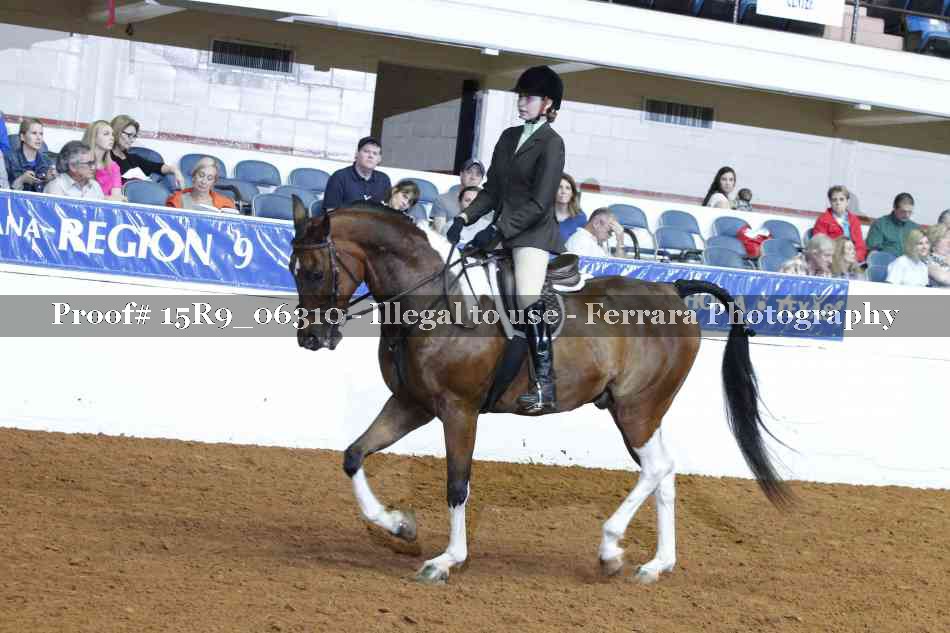 Proof 15R9_06310