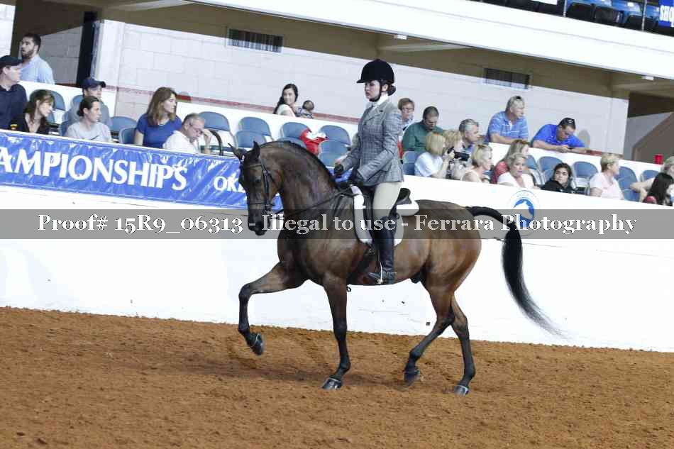 Proof 15R9_06313
