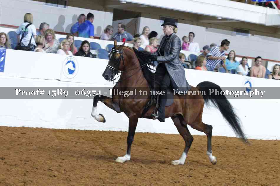 Proof 15R9_06374