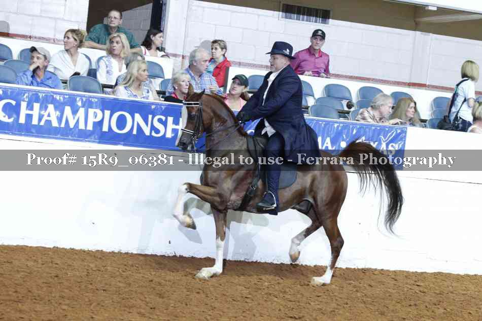 Proof 15R9_06381