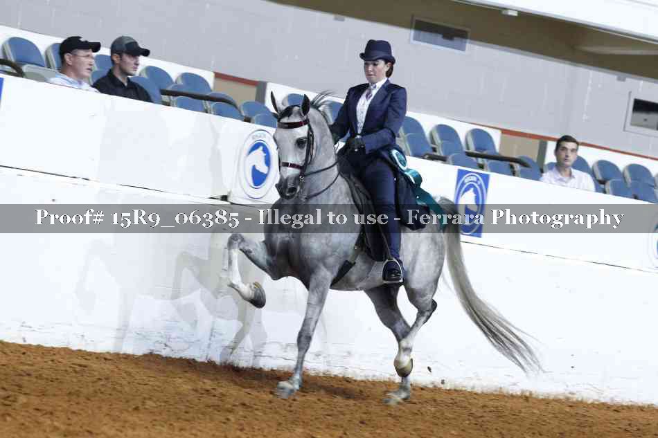 Proof 15R9_06385