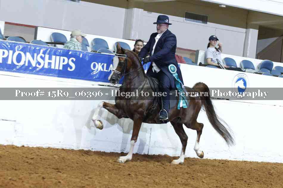 Proof 15R9_06396