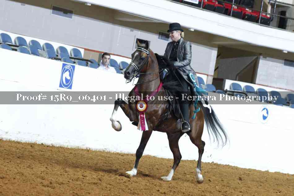 Proof 15R9_06401