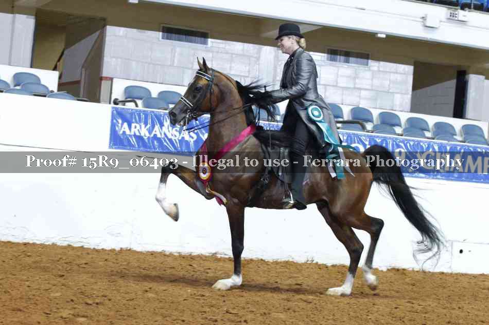 Proof 15R9_06403