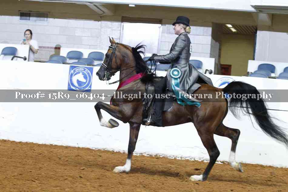 Proof 15R9_06404