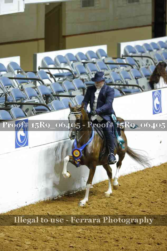 Proof 15R9_06405
