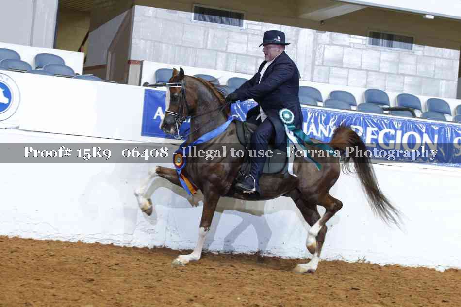 Proof 15R9_06408