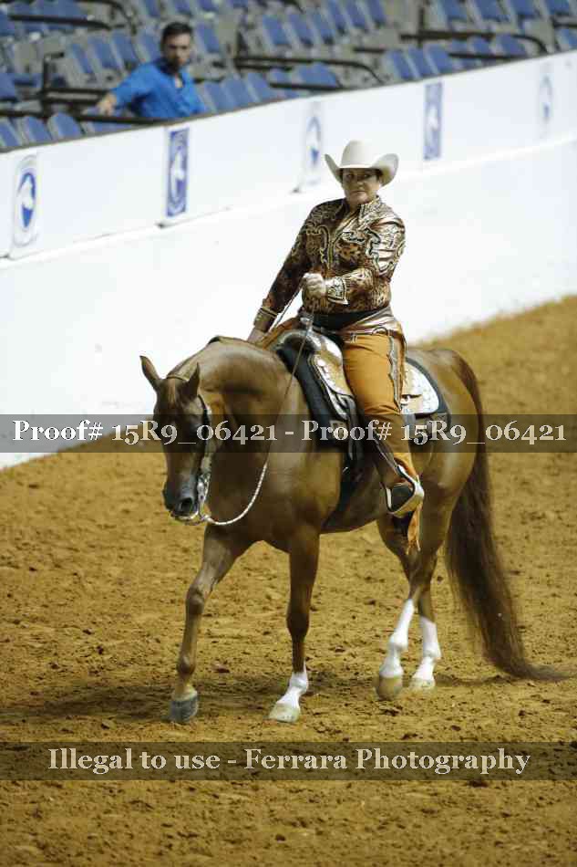 Proof 15R9_06421