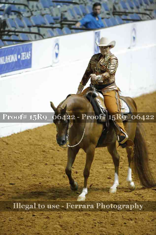 Proof 15R9_06422