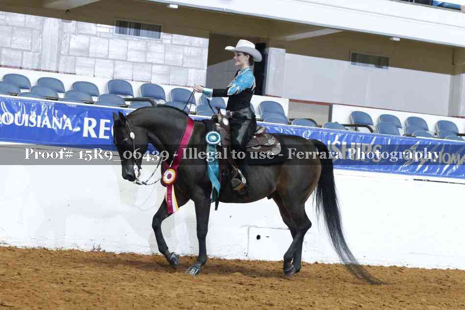 Proof 15R9_06439
