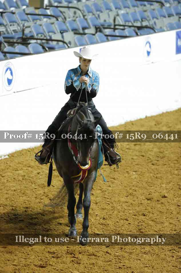 Proof 15R9_06441