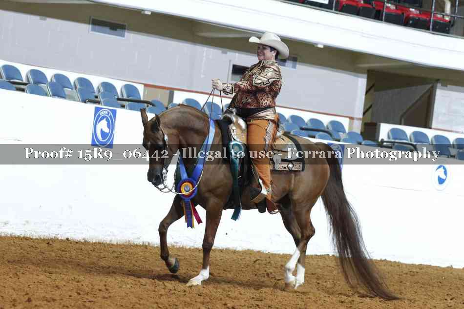 Proof 15R9_06442