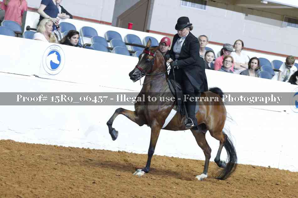 Proof 15R9_06457