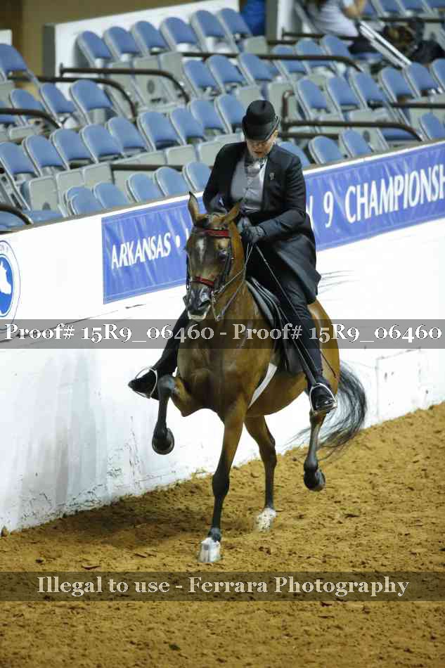 Proof 15R9_06460
