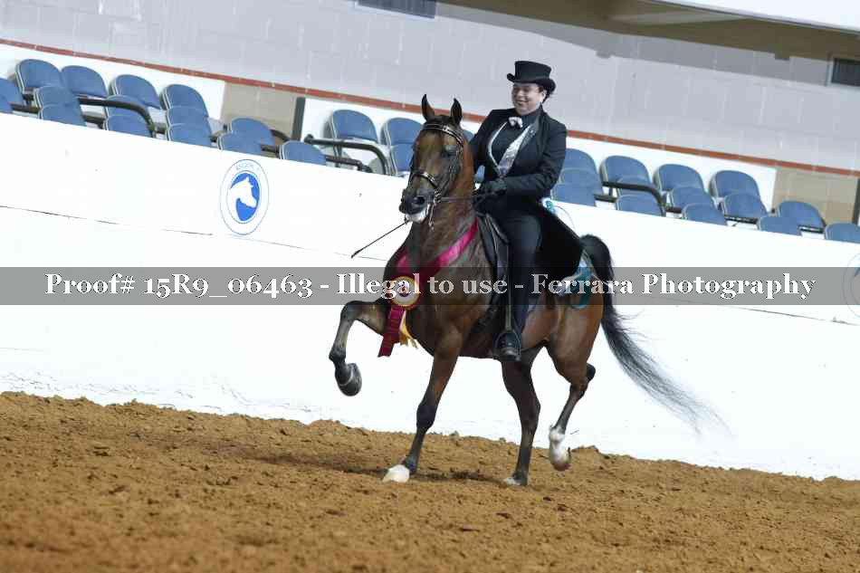 Proof 15R9_06463