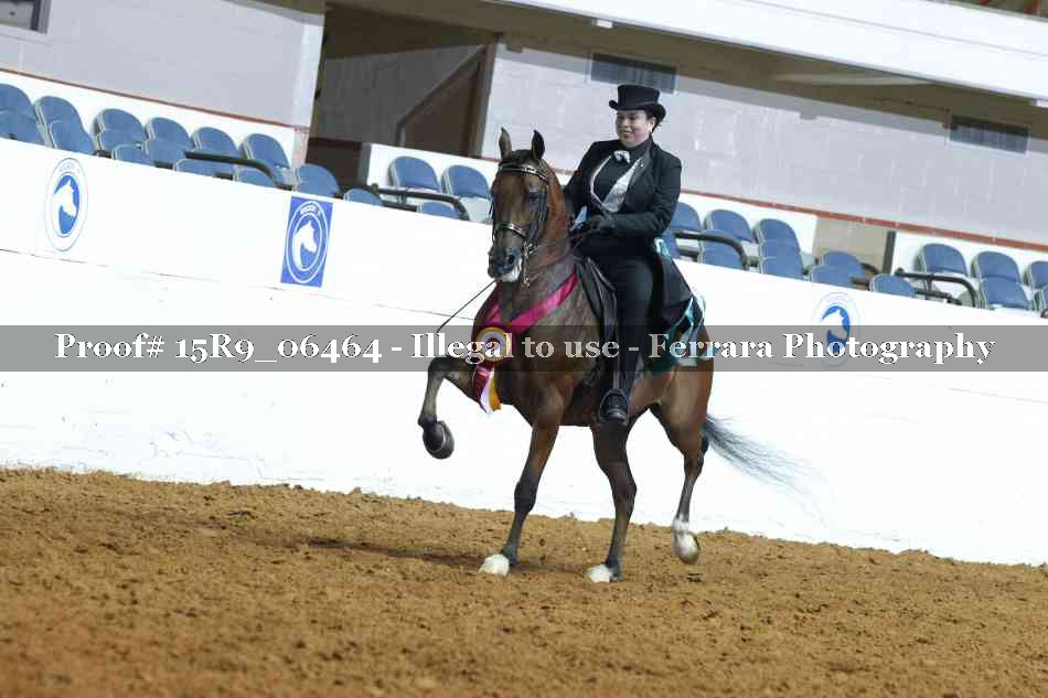 Proof 15R9_06464