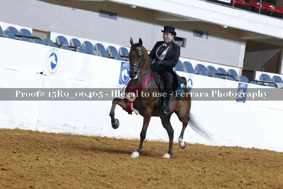 Proof 15R9_06465