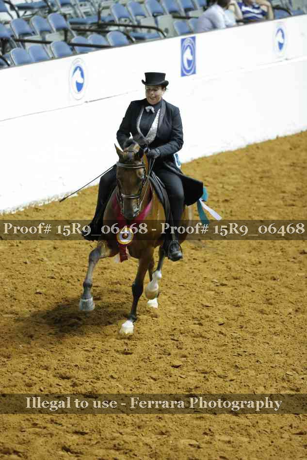 Proof 15R9_06468