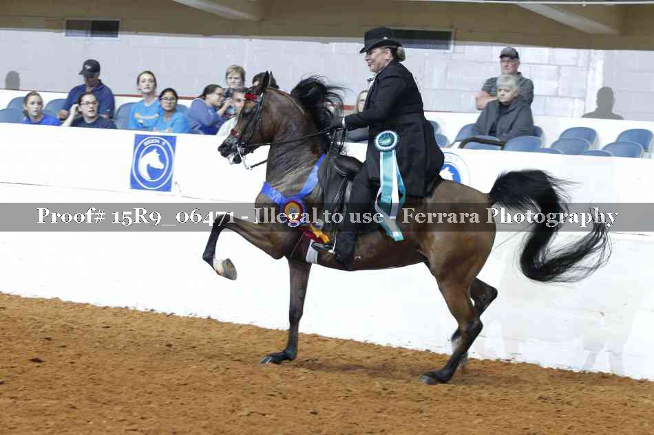Proof 15R9_06471
