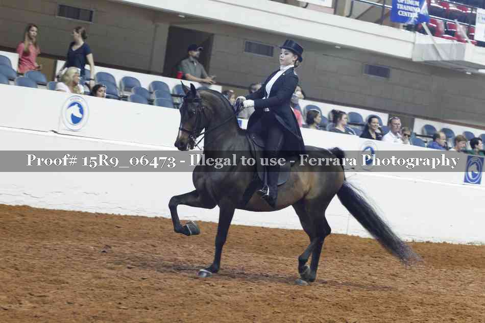 Proof 15R9_06473