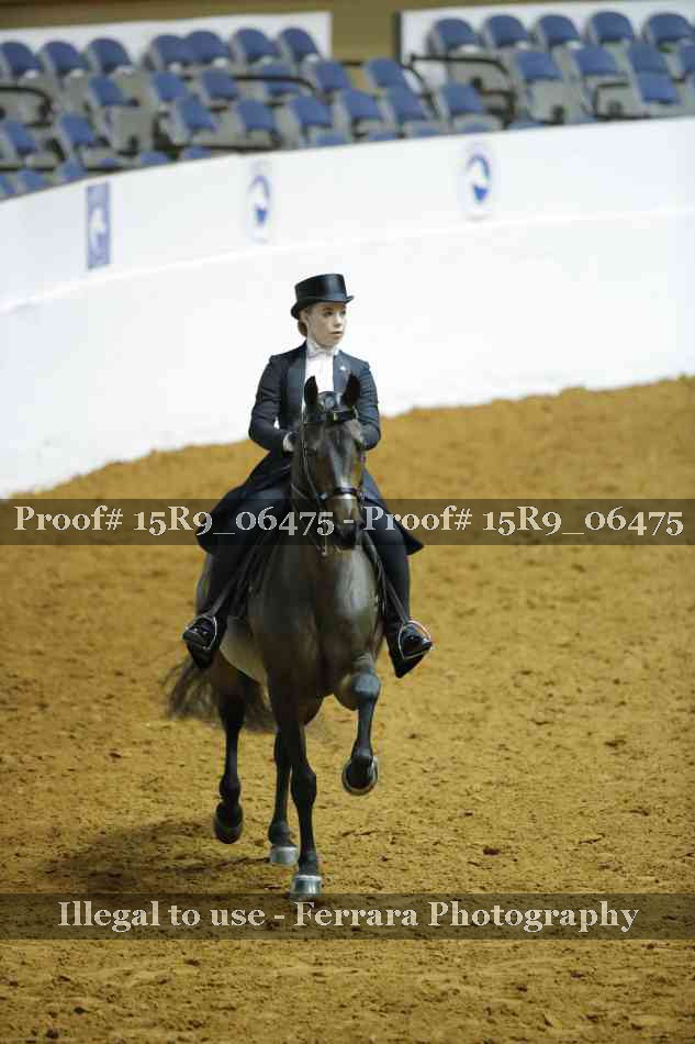 Proof 15R9_06475