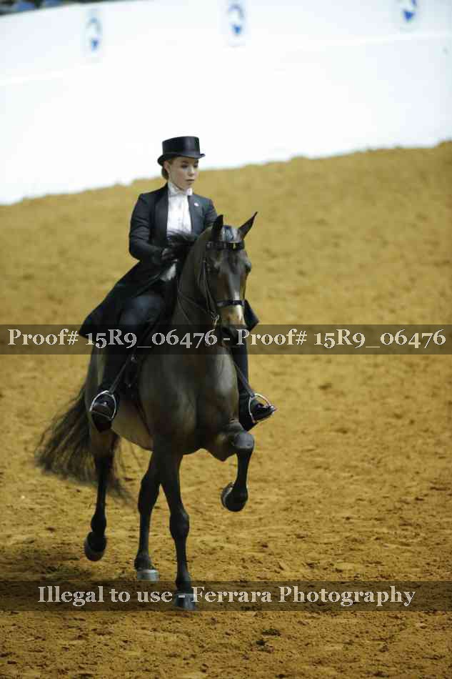 Proof 15R9_06476