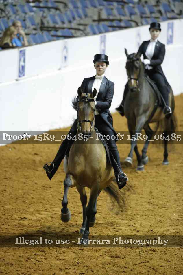 Proof 15R9_06485