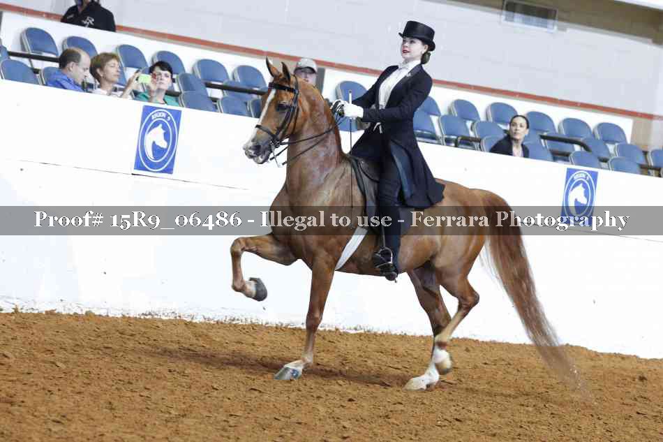 Proof 15R9_06486