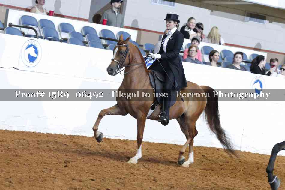 Proof 15R9_06492