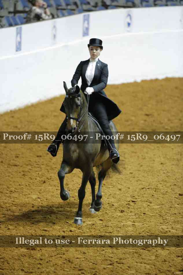 Proof 15R9_06497