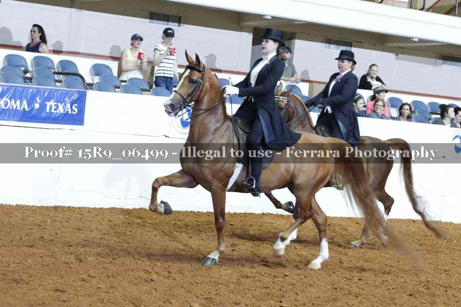 Proof 15R9_06499